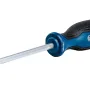 Chave de fenda Bosch (1.600.A01.V0F)