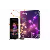 إكليل Twinkly (TWKH100RGB-T)