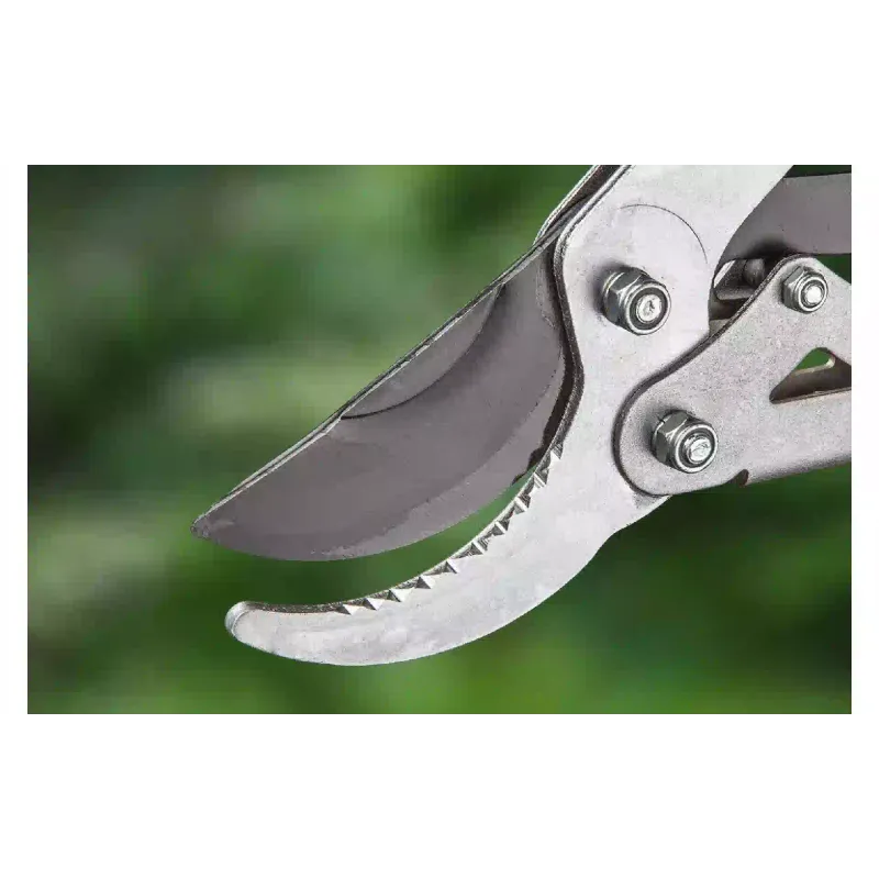 Лозари Verto (15G258)