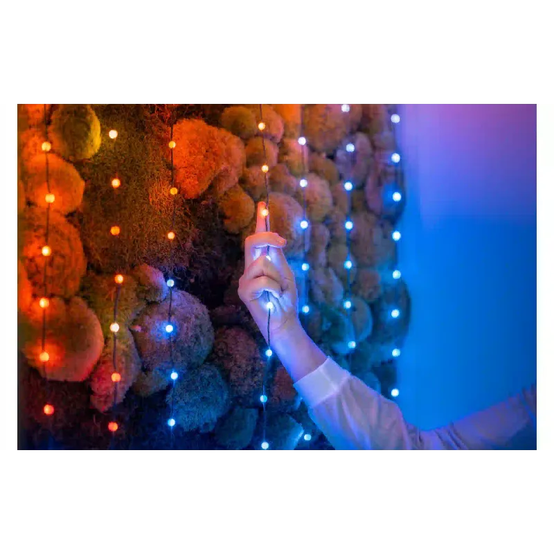 إكليل Twinkly, Green (TWKP100RGB-G)