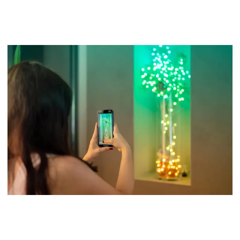 Гірлянда Twinkly (TWKP200RGB-G), Green