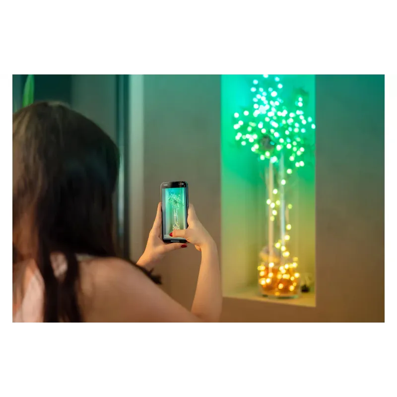 Γιρλάντα Twinkly, Green (TWKS200RGB-G)