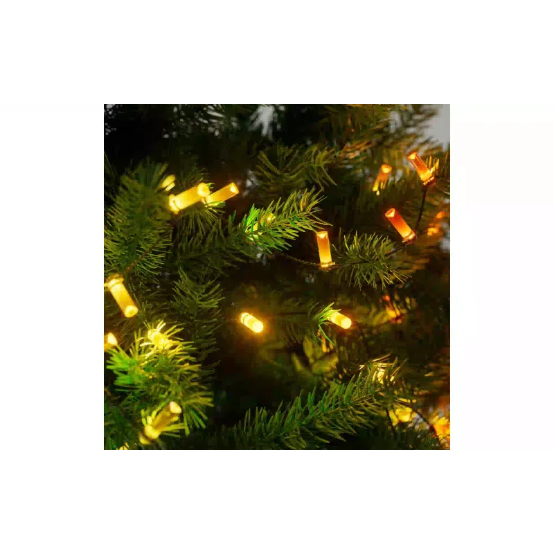 Гірлянда Twinkly (TWKC100RGB-G), Green