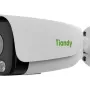 IP-Videokamera Tiandy (TC-C32LS)
