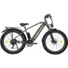 Електровелосипед 2E (EB19), Dark Green