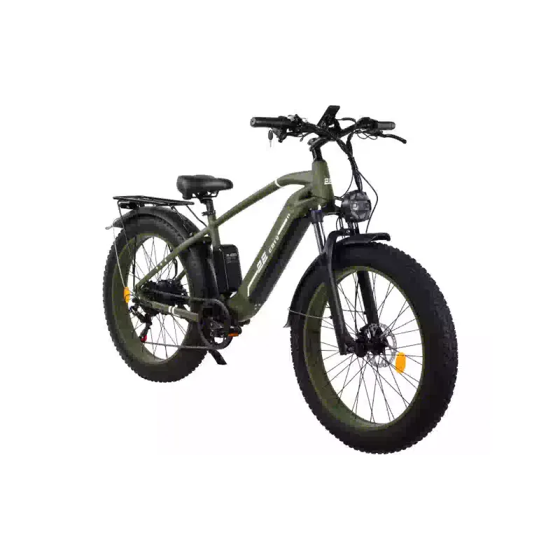 Електровелосипед 2E (EB19), Dark Green