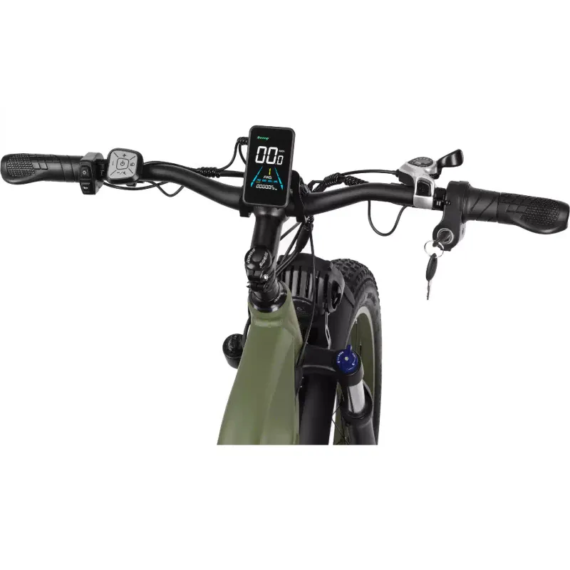 Електровелосипед 2E (EB19), Dark Green