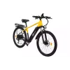 Electric bicycle 2E (EB17), Yellow/Black