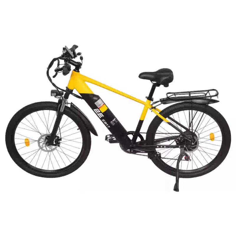 Electric bicycle 2E (EB17), Yellow/Black