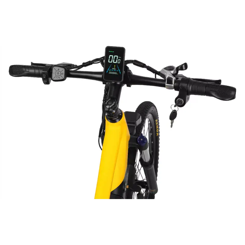 Electric bicycle 2E (EB17), Yellow/Black