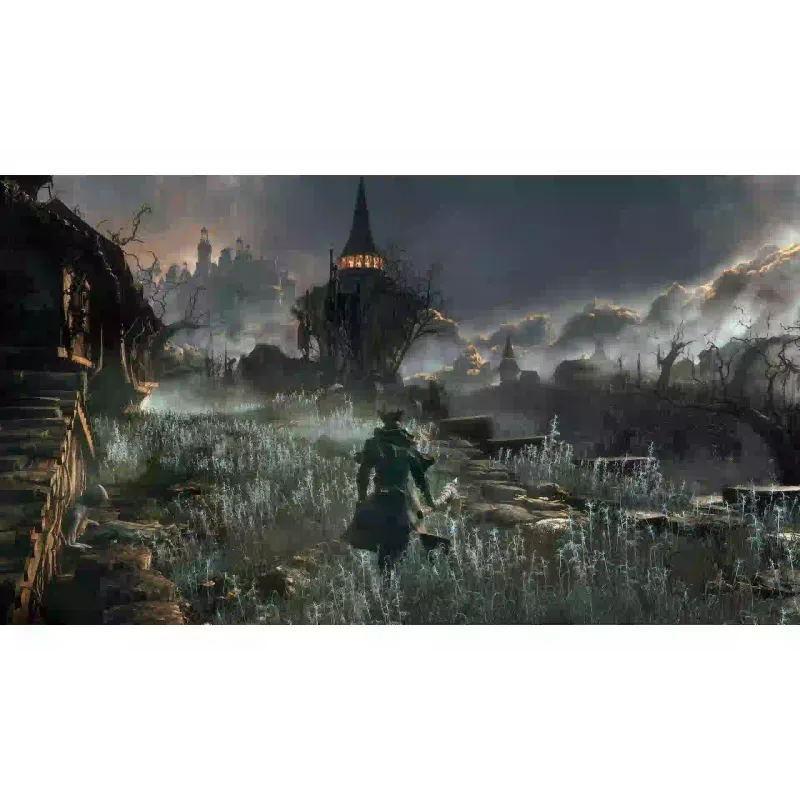 Juego Games Software Bloodborne (9701194)