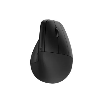 Egér HP Ergonomic 920, Black (6H1A4AA)