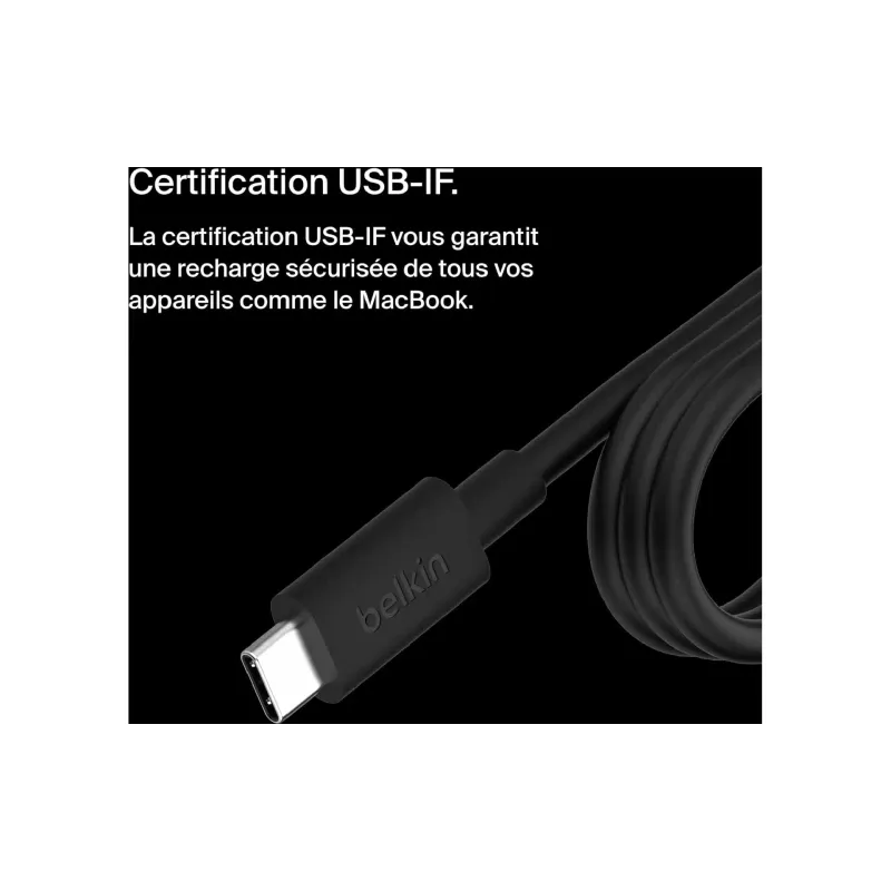 Ladegerät Belkin, Black (INC016VFBK)