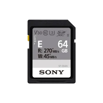Pomnilniška kartica Sony (SFE64A.ET4)