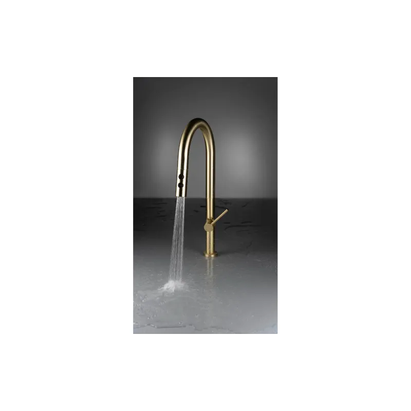 حوض المطبخ Deante, Brushed Gold (ZPOER10A)