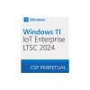 برمجة Microsoft Windows 11 IoT Enterprise LTSC 2024 (DG7GMGF0PP49-0001)