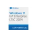 Software Microsoft Windows 11 IoT Enterprise LTSC 2024 (DG7GMGF0PP49-0001)