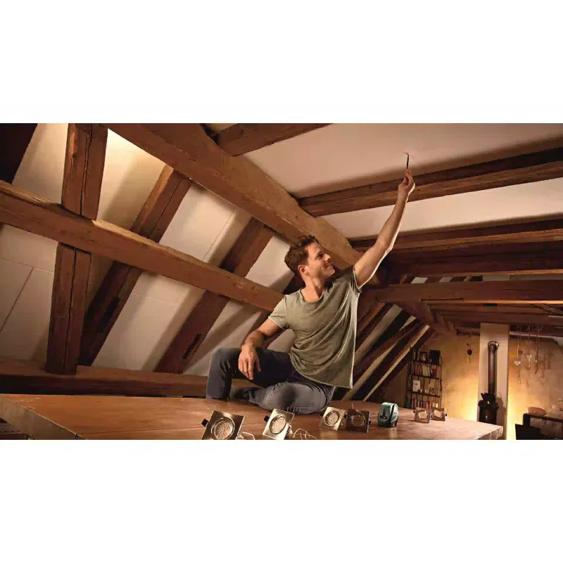 مستوى الليزر Bosch (0.603.663.802)