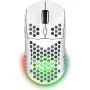 Rato Trust GXT-928 (25390_TRUST)