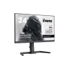 Монитор Iiyama Gaming 23.8" FHD/IPS  (GB2445HSU-B2)