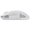 Rato Trust GXT-928 (25390_TRUST)