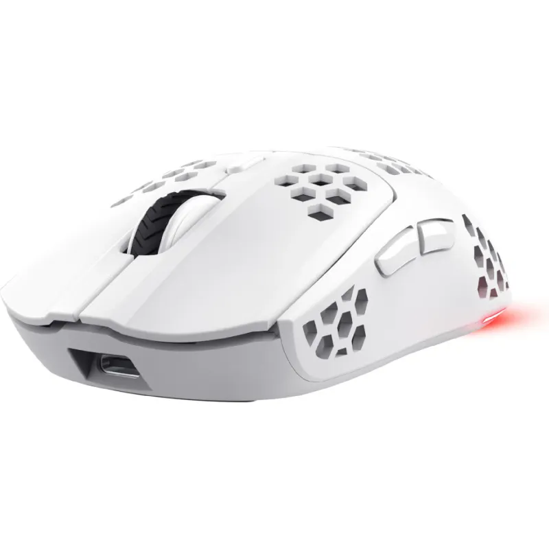 Rato Trust GXT-928 (25390_TRUST)