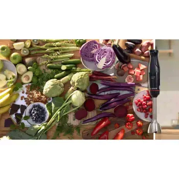 Liquidificador de mão Bosch, Black (MSM4B623)