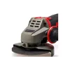Máquina de moer Einhell (4430985)