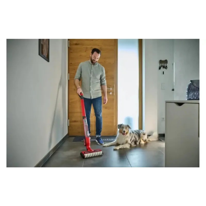 Čistilec Einhell (3437110)