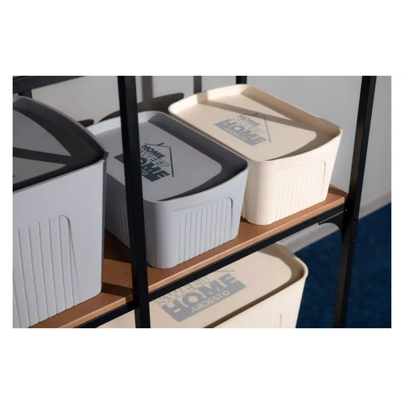 Caja de almacenamiento con tapa Ardesto, Gray (ARHC2523G)