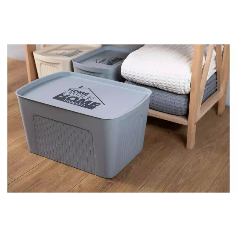 Caja de almacenamiento con tapa Ardesto, Gray (ARHC2523G)