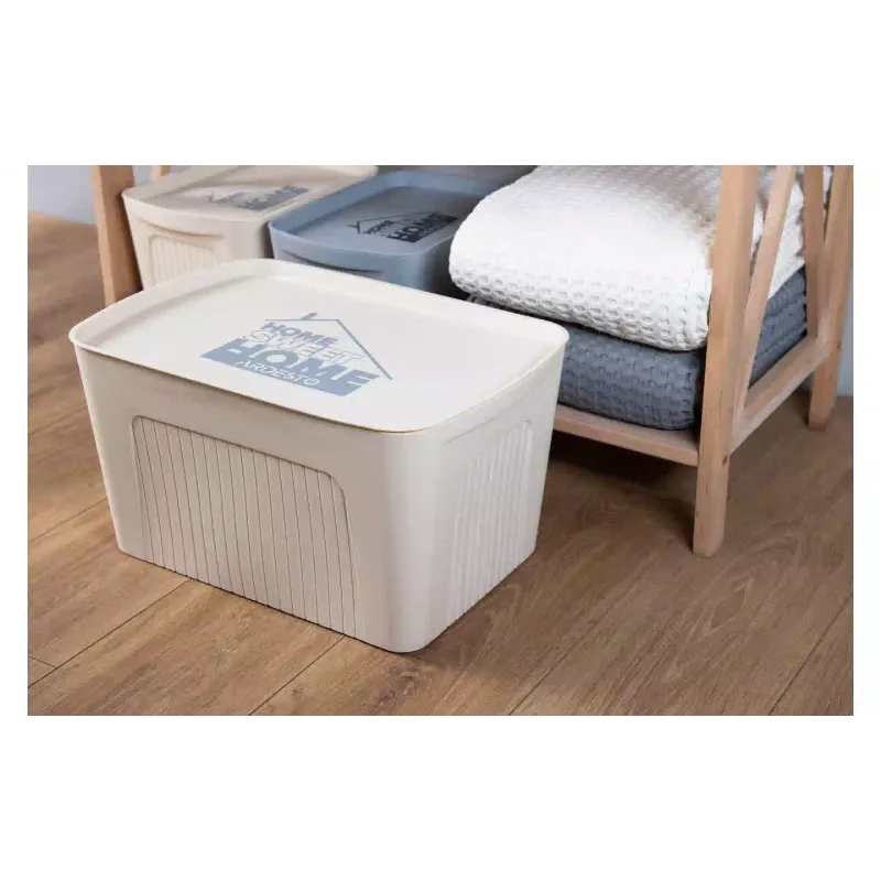 Aufbewahrungsbox mit Deckel Ardesto, Beige (ARHC2523B)