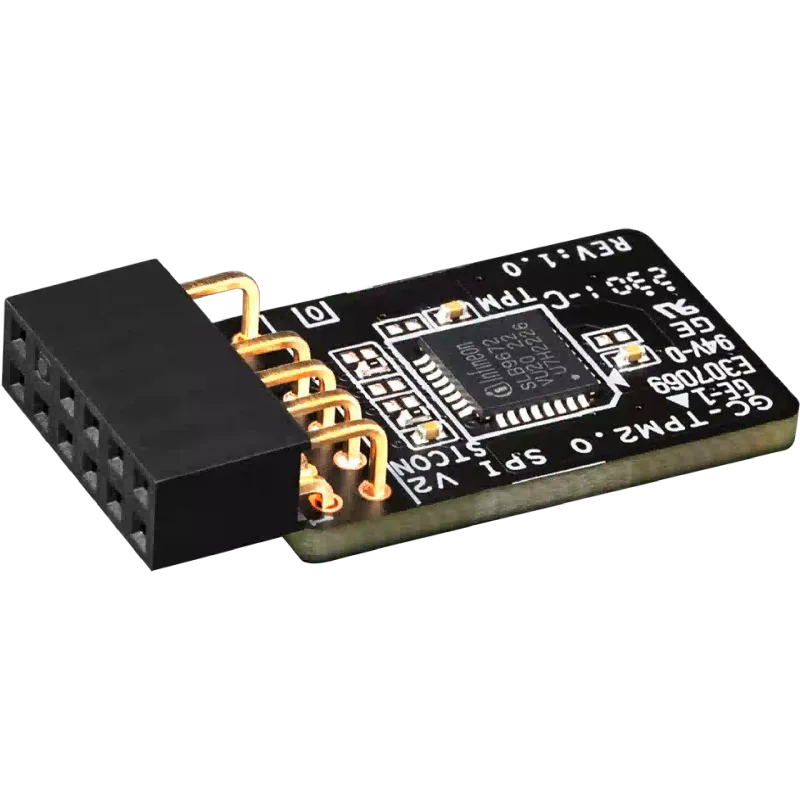 Modul TPM Gigabyte (GC-TPM2.0 SPI V2)