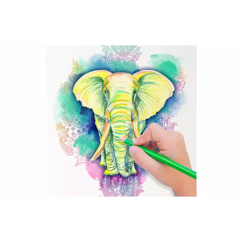 Lápis de cor Cra-Z-Art (10438CRA)