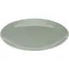 طبق العشاء Ardesto Capri, Green (AR0527CG)