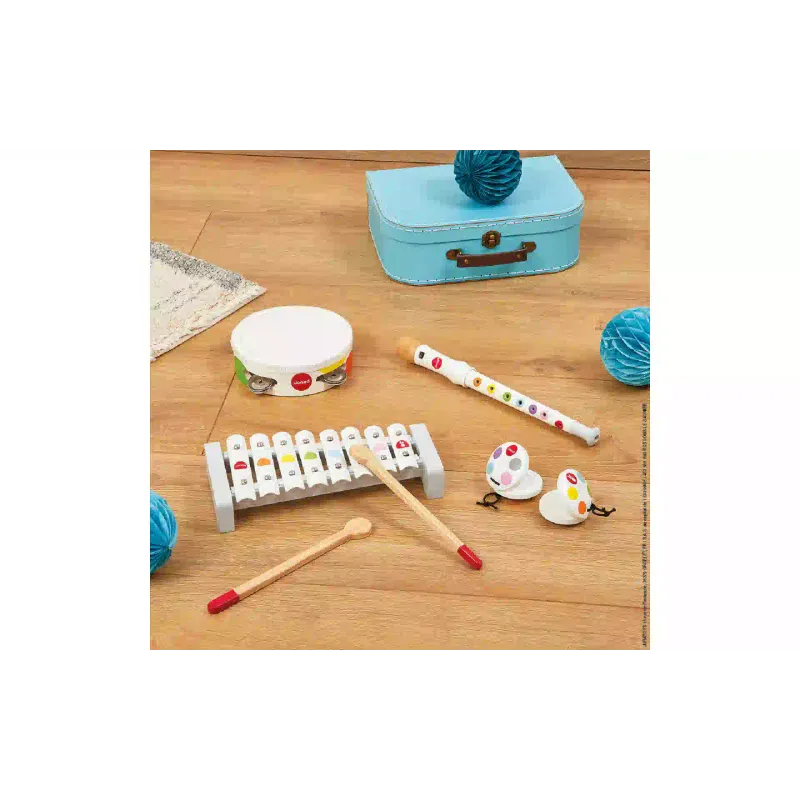 Conjunto de instrumentos musicais Janod (J07600)