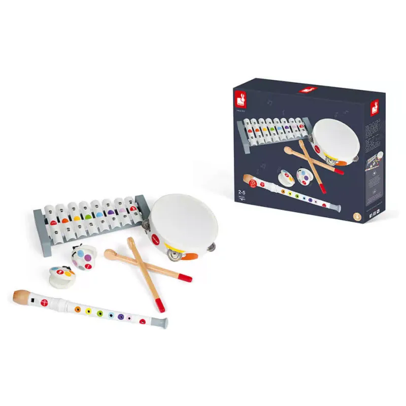 Conjunto de instrumentos musicais Janod (J07600)