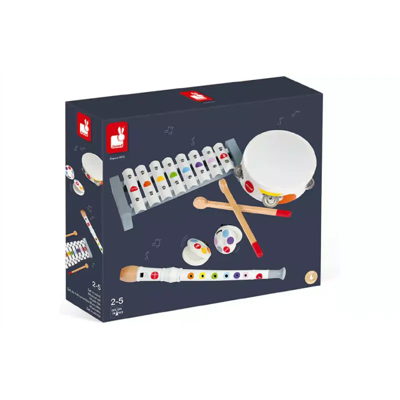 Conjunto de instrumentos musicais Janod (J07600)