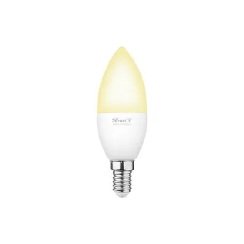 Lampe Trust (71284_TRUST)