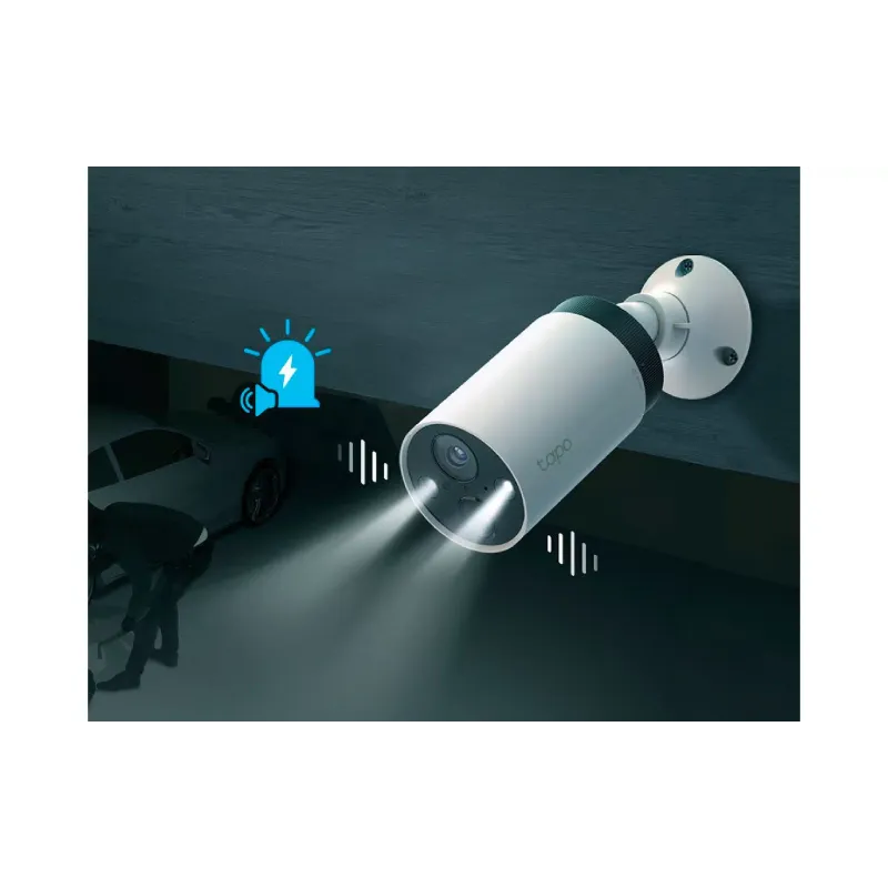 Video surveillance system TP-Link (TAPO-C420S2)