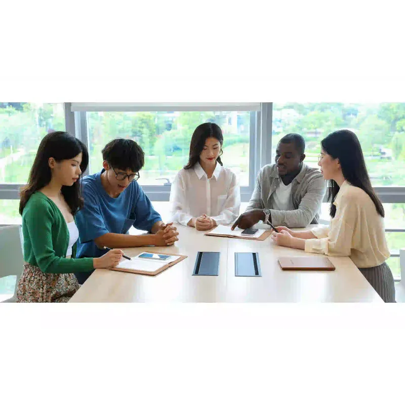 Tablični računalnik Huion, Brown (X-10)