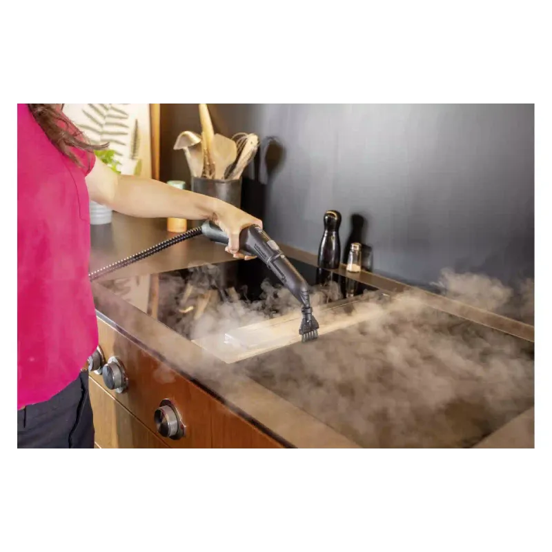 Parni čistilec Karcher SC 4 Deluxe Iron, White (1.513-462.0)