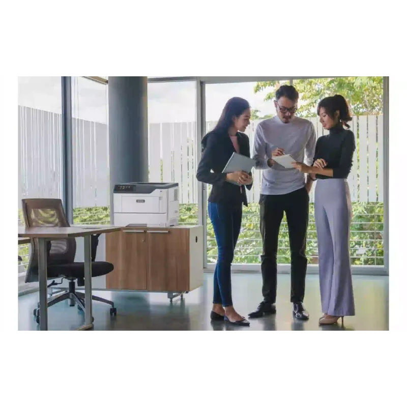 Impresora Xerox C410 (C410V_DN)