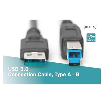 Cable Digitus, Black (AK-300115-018-S)