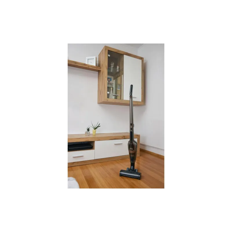 Прахосмукачка Gorenje (SVC288191FSIIGO)