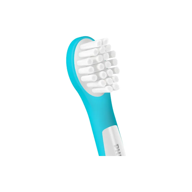 Насадка для зубної щітки Philips (HX6032/90)