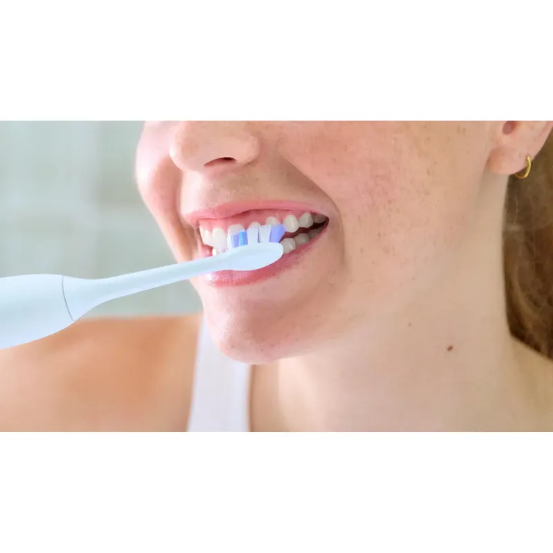 Toothbrush head Philips (HX6052/87)