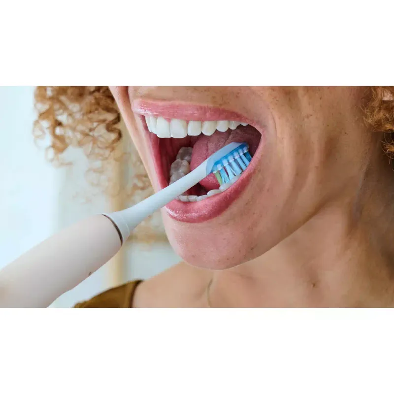 Toothbrush head Philips (HX9042/87)