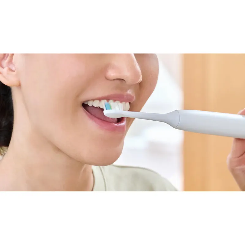 Насадка для зубної щітки Philips (HX6068/87)