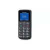 Mobiltelefon Panasonic, Black (KX-TU110EXB)